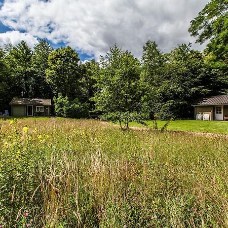 Kievit Villa Appelscha Eksteriør billede
