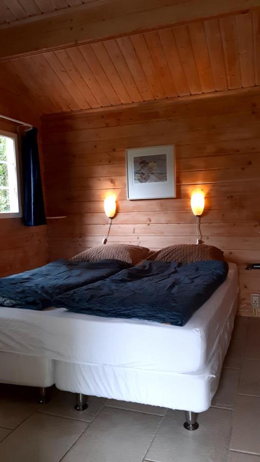 Kievit Villa Appelscha Eksteriør billede